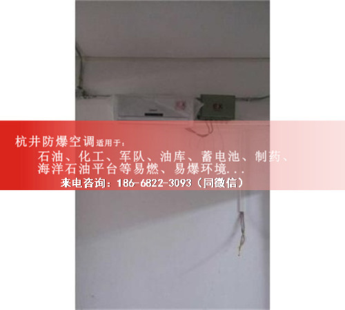 机房带远程控制防爆空调机案例图