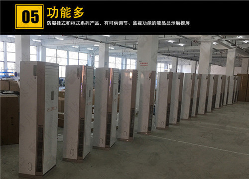 饲料厂防爆空调机案例图