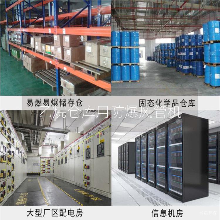 乙烷倉庫用防爆風(fēng)管機