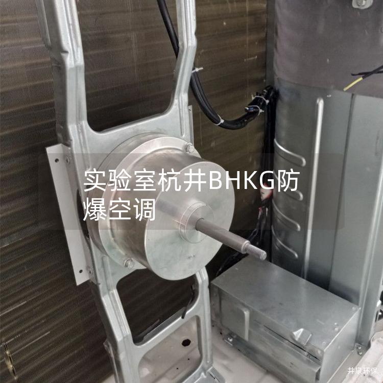 實(shí)驗(yàn)室杭井BHKG防爆空調(diào)