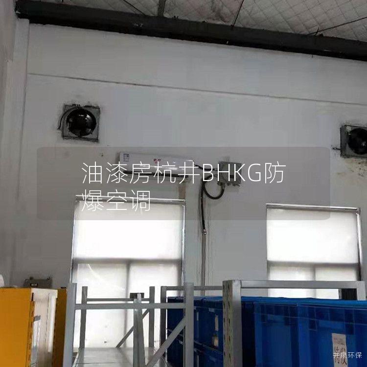 油漆房杭井BHKG防爆空調(diào)