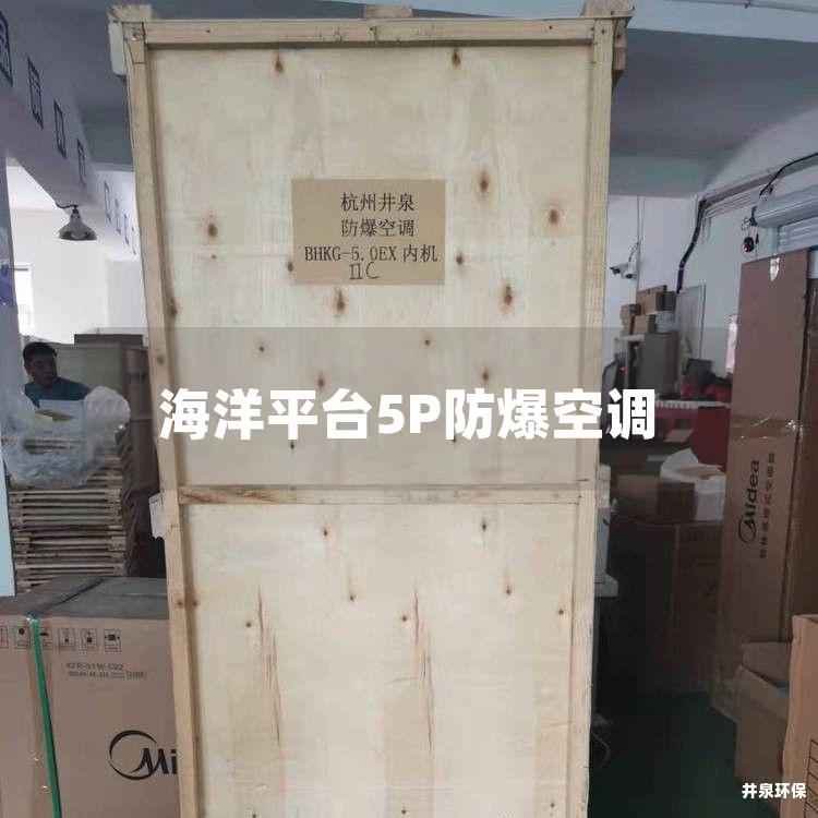 海洋平臺5P防爆空調(diào)