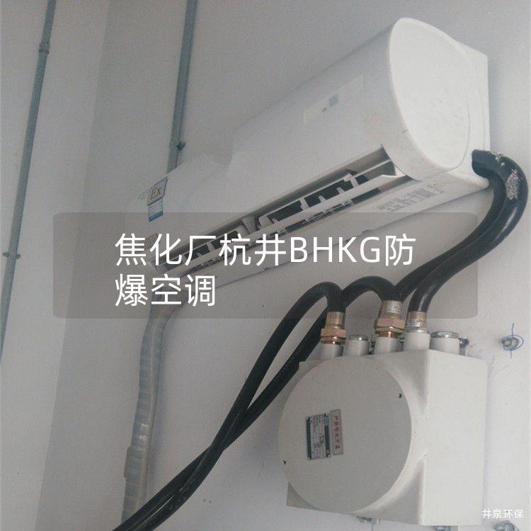 焦化廠杭井BHKG防爆空調(diào)